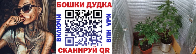 Марихуана индика Луховицы