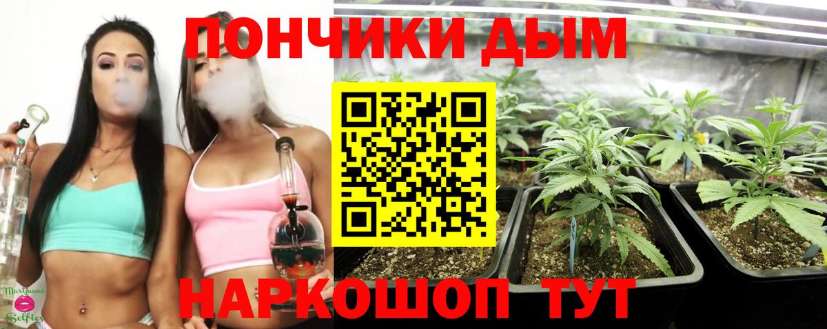 Канабис планчик Луховицы